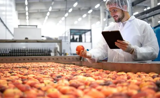 Processamento de Alimentos